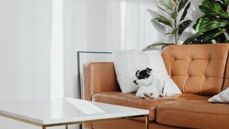 wd-furniture-blog-5-opt